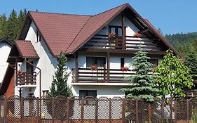 Vila Flora în Gura Humorului